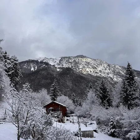 Bauwagen Mit Bergblick Luxury tent Bad Reichenhall