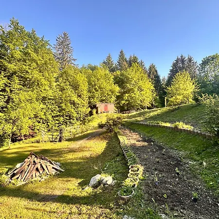 Bauwagen Mit Bergblick 豪华帐篷